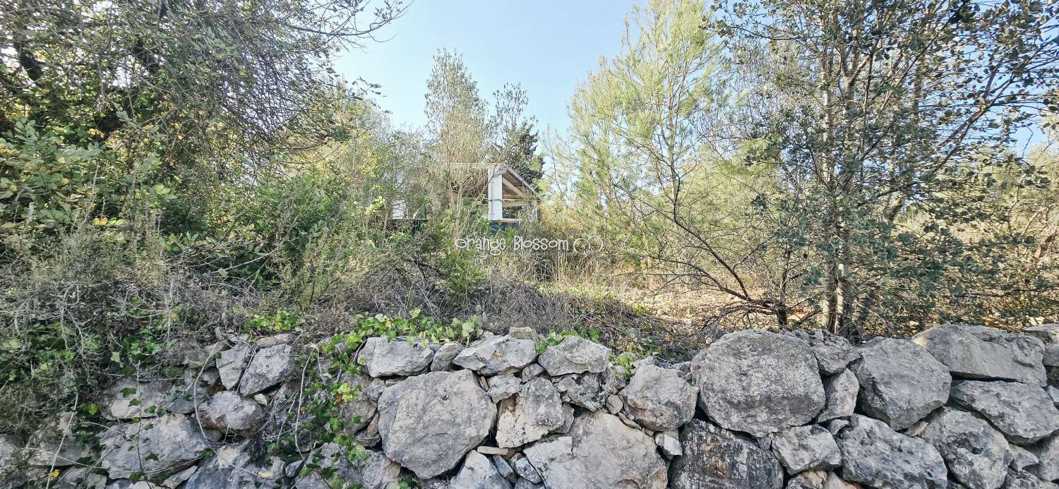 Вилла в продаже в Villalonga