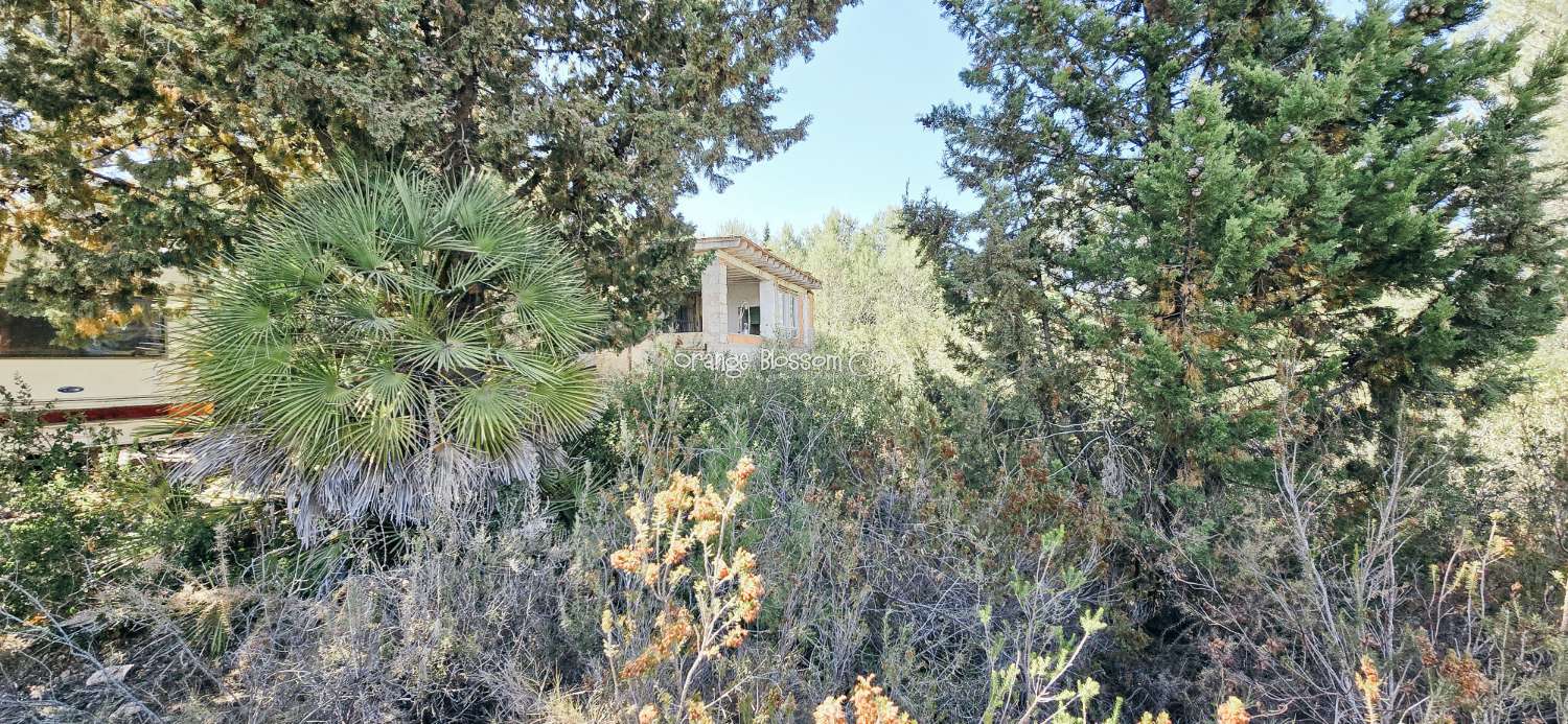 Villa en vente à Villalonga