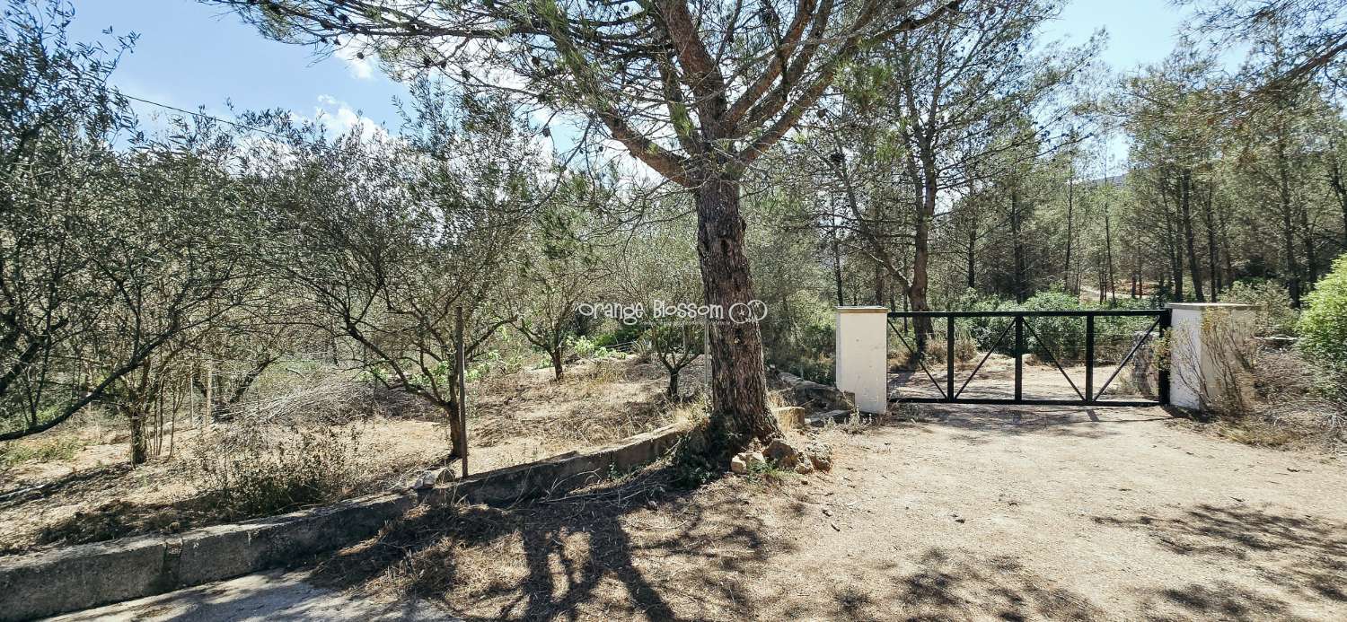 Villa en vente à Villalonga