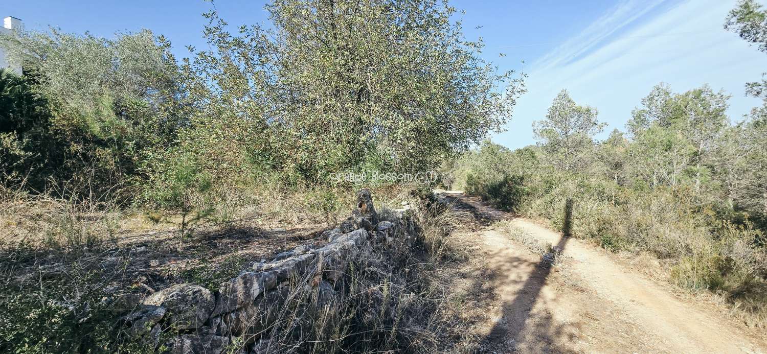 Vila en venda in Villalonga