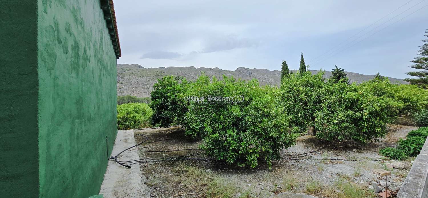 Villa for sale in Pego