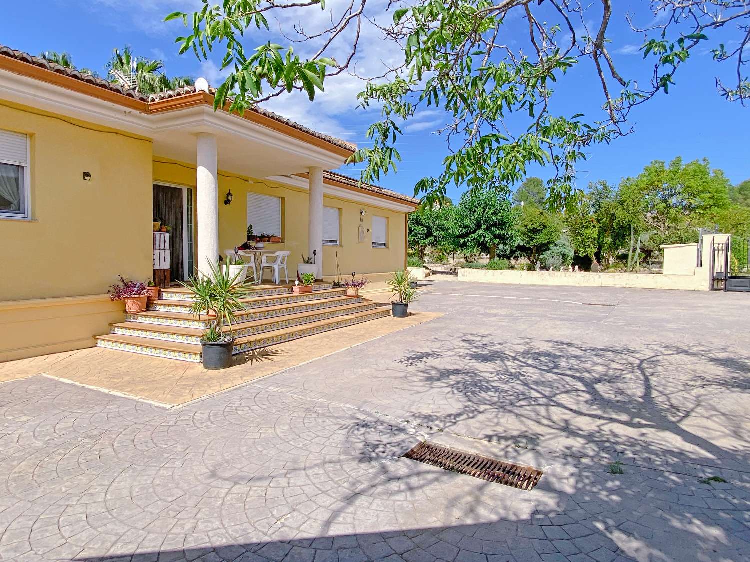 Charming Villa Near Albaida