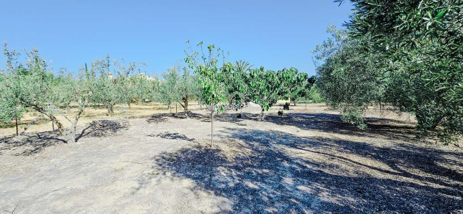 Vila en venda in El Pilar - Santa Ana (Ontinyent)