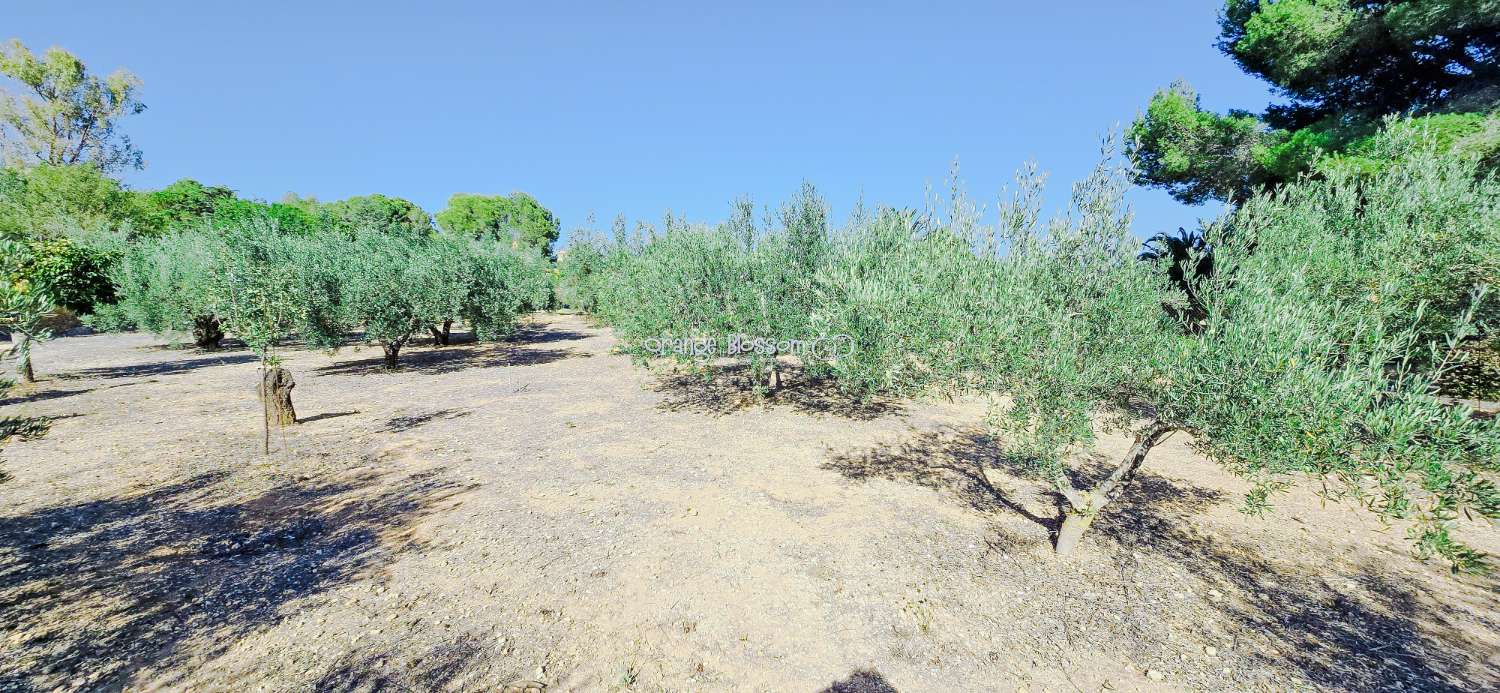 فيلا للبيع في El Pilar - Santa Ana (Ontinyent)